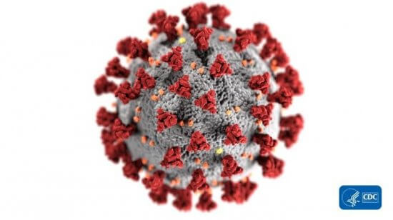koronavírus castica molekula
